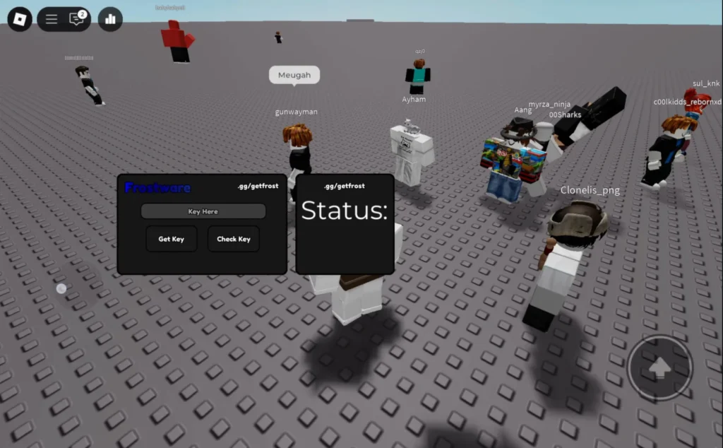 FrostWare Executor